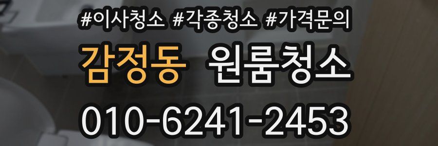 감정동 이사청소