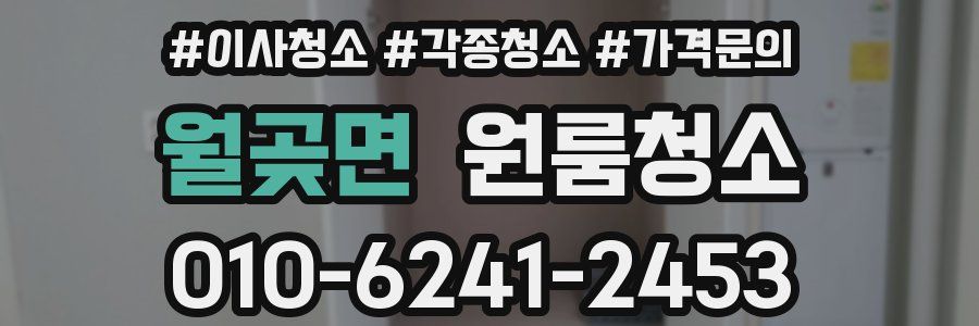 월곶면 이사청소