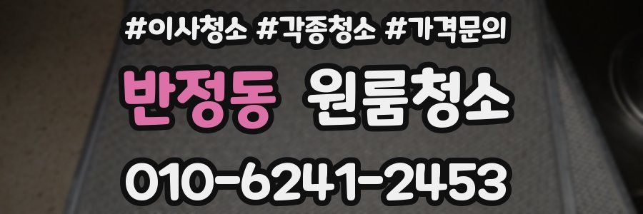 반정동 이사청소