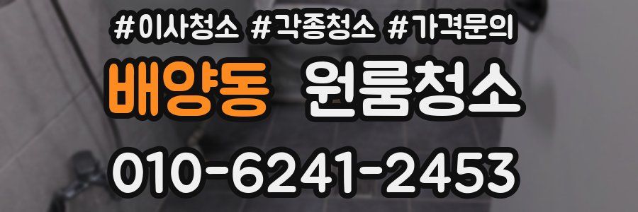 배양동 이사청소