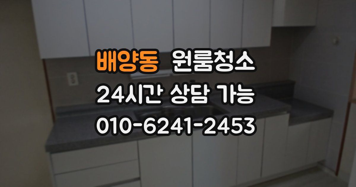 배양동 입주청소