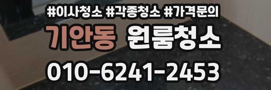 기안동 이사청소