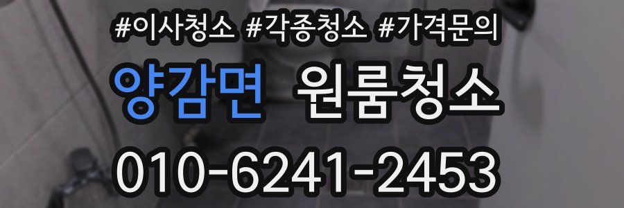 양감면 이사청소