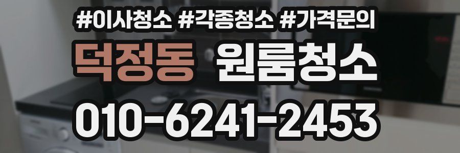 덕정동 이사청소