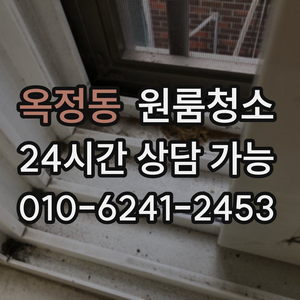 옥정동 원룸청소