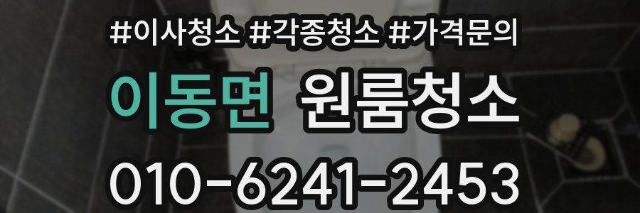 이동면 이사청소