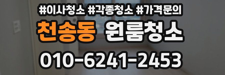 천송동 이사청소