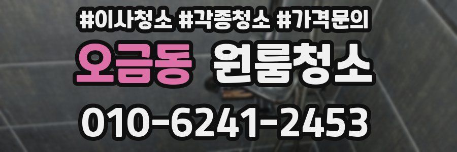 오금동 이사청소