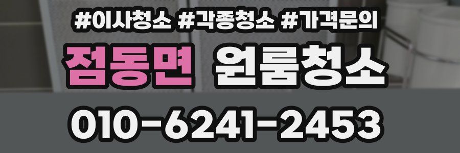 점동면 이사청소