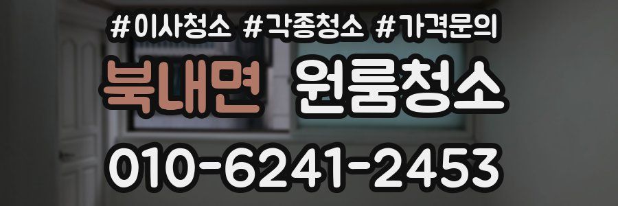 북내면 이사청소