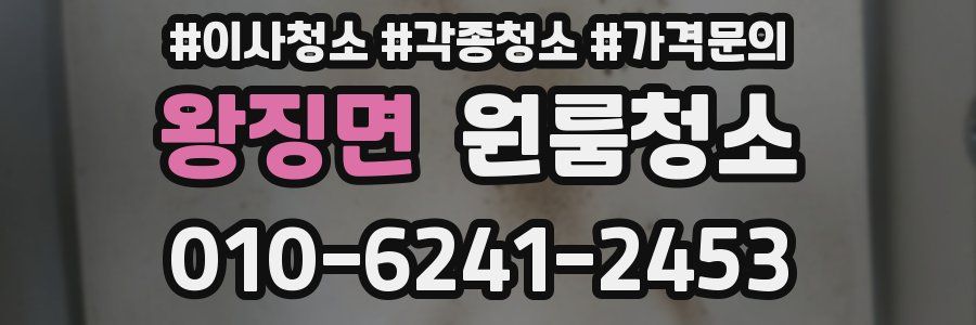 왕징면 이사청소