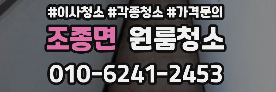 조종면 이사청소