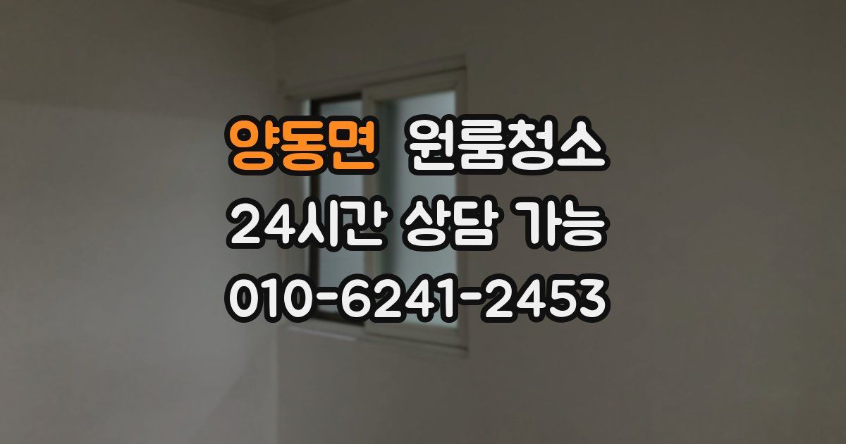 양동면 입주청소