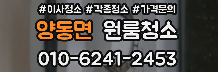 양동면 이사청소