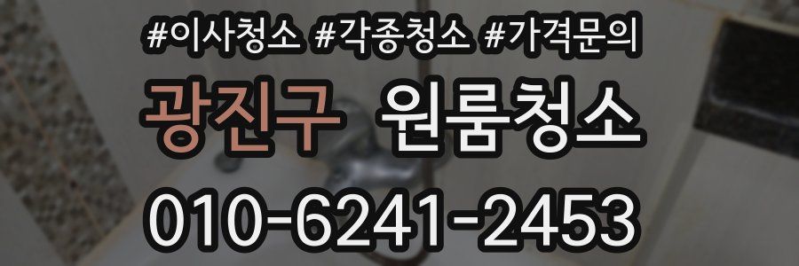 광진구 이사청소