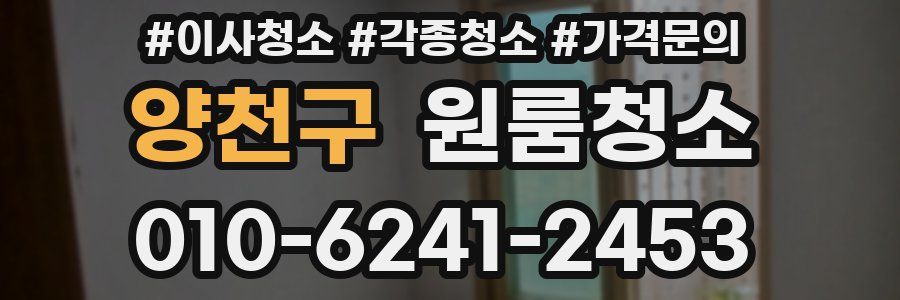 양천구 이사청소