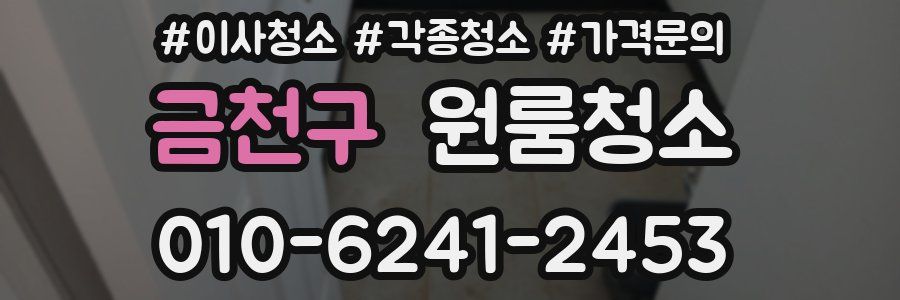 금천구 이사청소