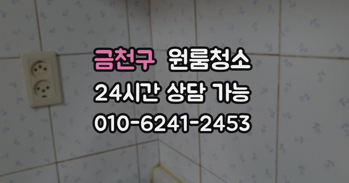 금천구 입주청소