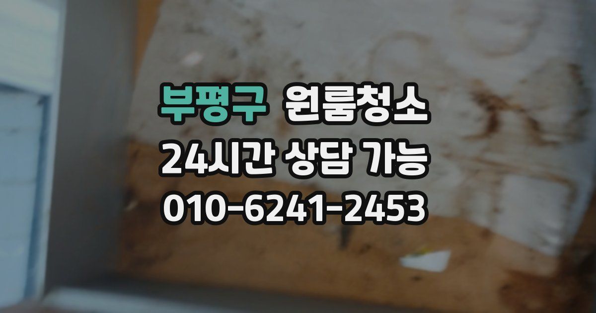 부평구 입주청소