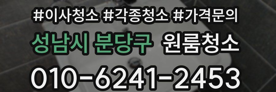 성남시 분당구 이사청소