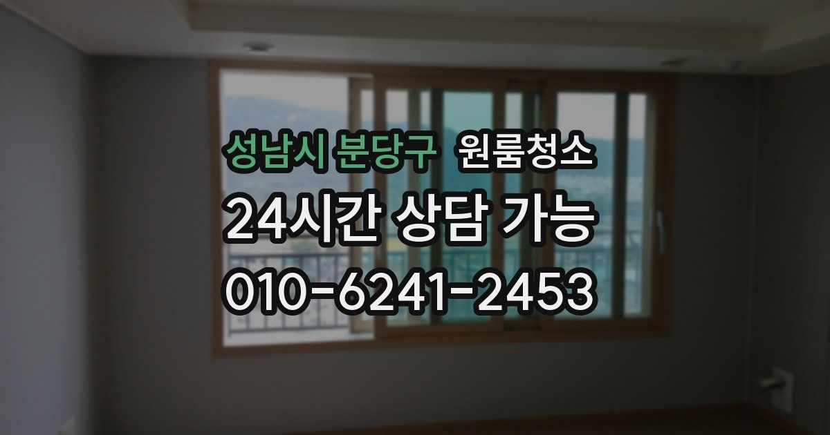 성남시 분당구 입주청소