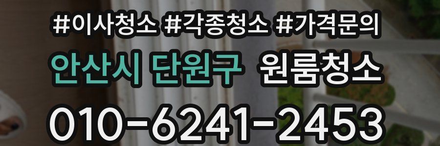 안산시 단원구 이사청소