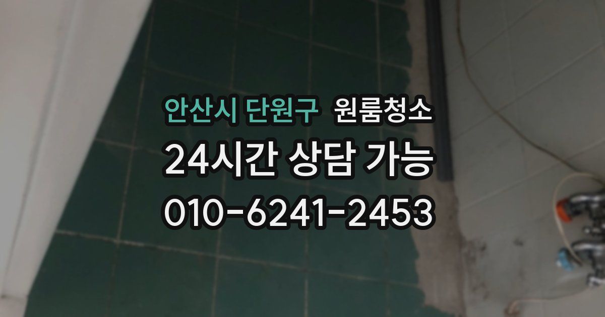 안산시 단원구 입주청소