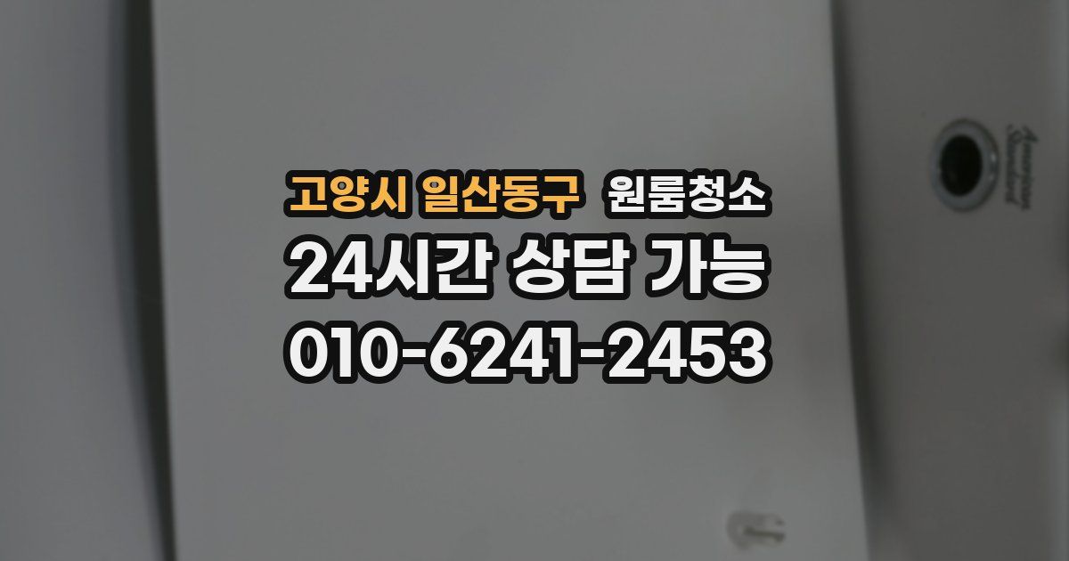 고양시 일산동구 입주청소