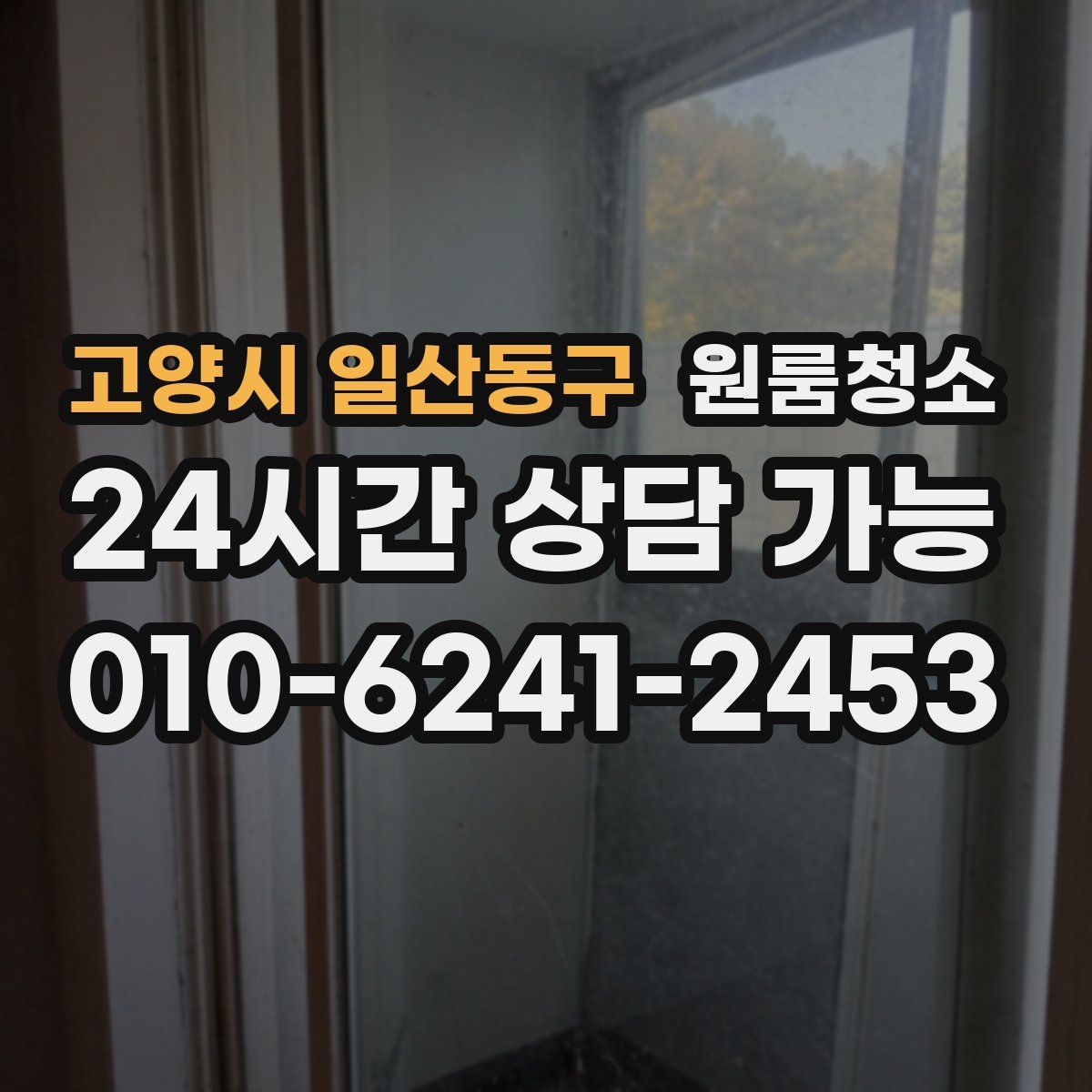 고양시 일산동구 원룸청소