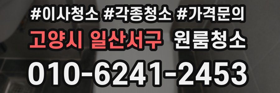 고양시 일산서구 이사청소