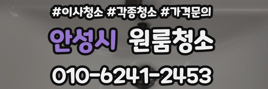 안성시 이사청소