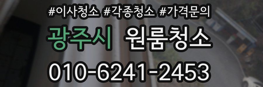 광주시 이사청소