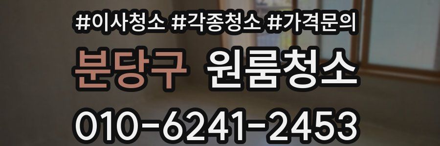 분당구 이사청소