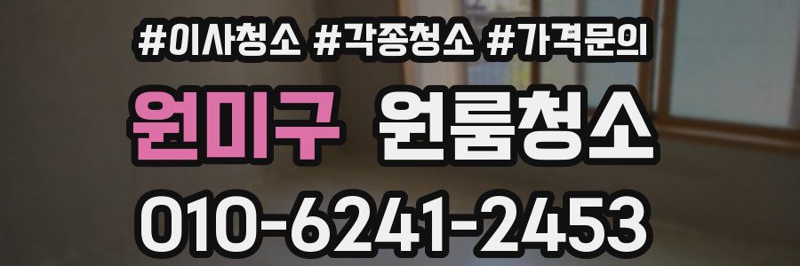 원미구 이사청소