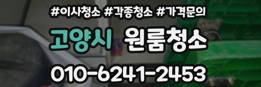 고양시 이사청소