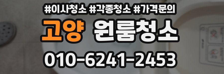 고양 이사청소