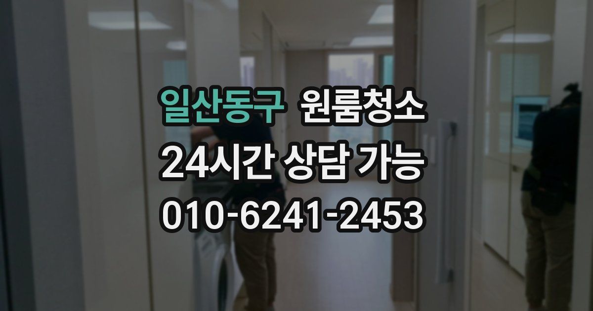 일산동구 입주청소