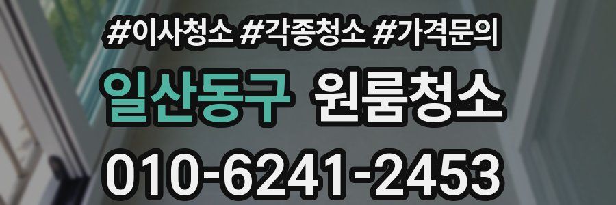 일산동구 이사청소