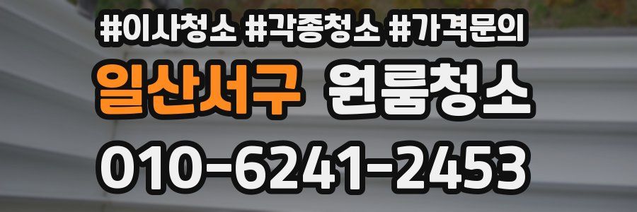 일산서구 이사청소