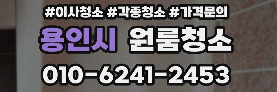 용인시 이사청소