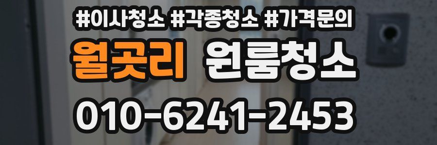 월곳리 이사청소