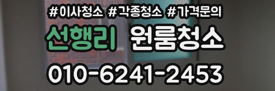 선행리 이사청소