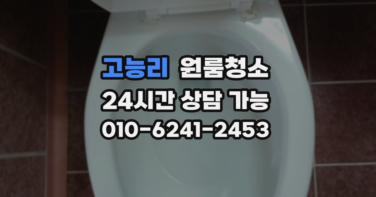 고능리 입주청소