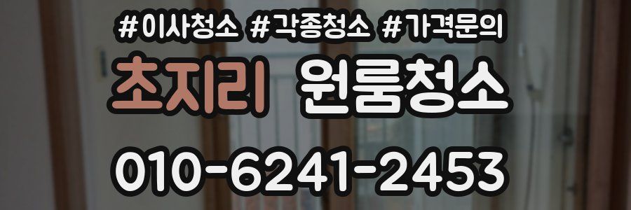 초지리 이사청소