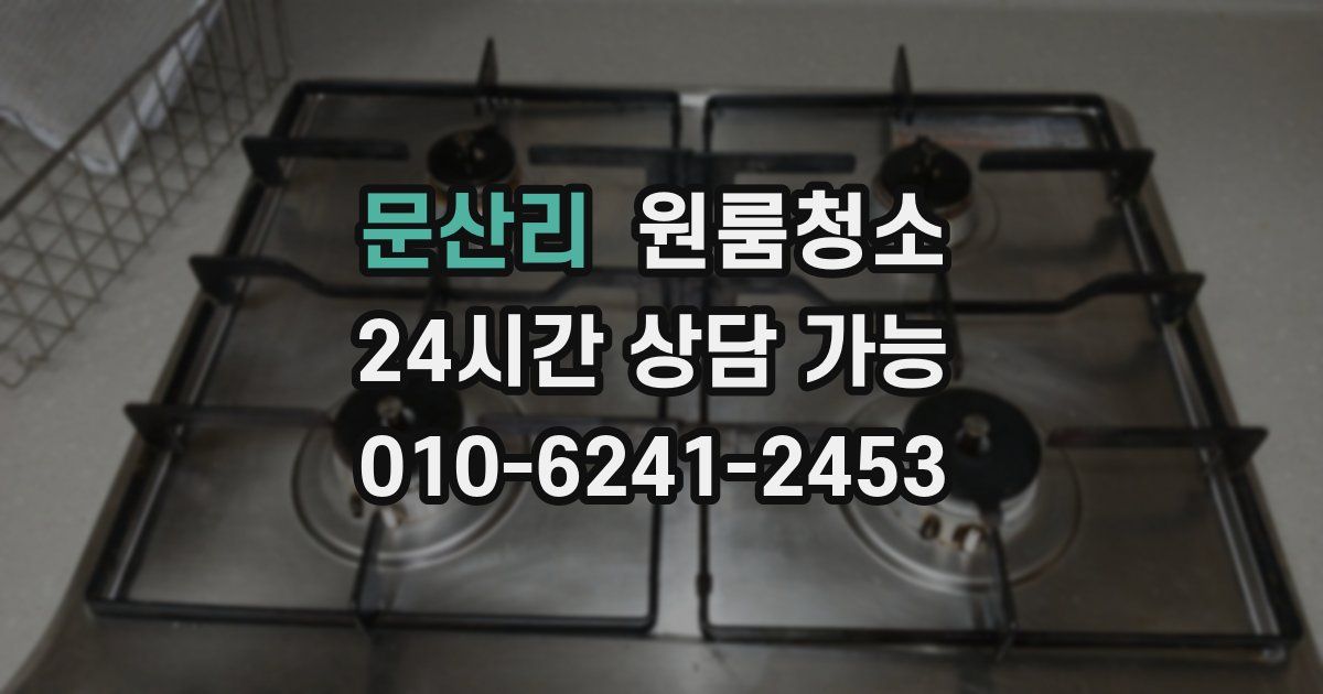 문산리 입주청소