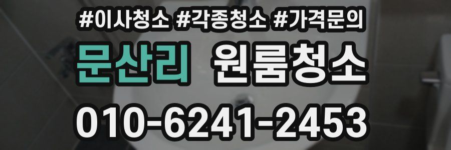 문산리 이사청소