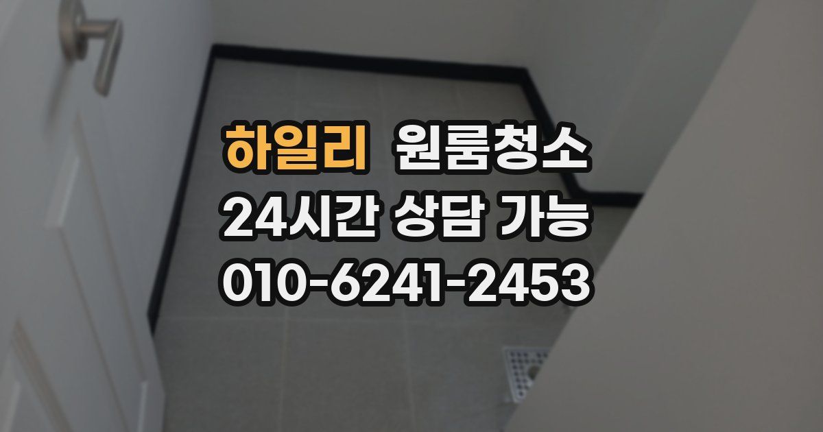 하일리 입주청소