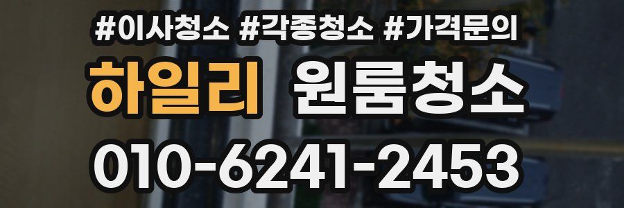 하일리 이사청소