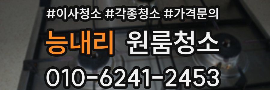 능내리 이사청소