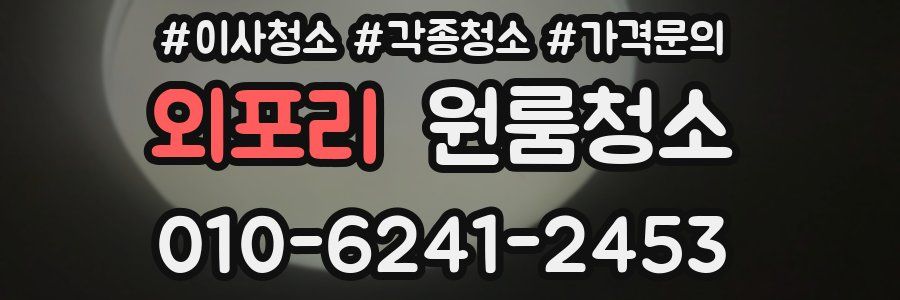 외포리 이사청소